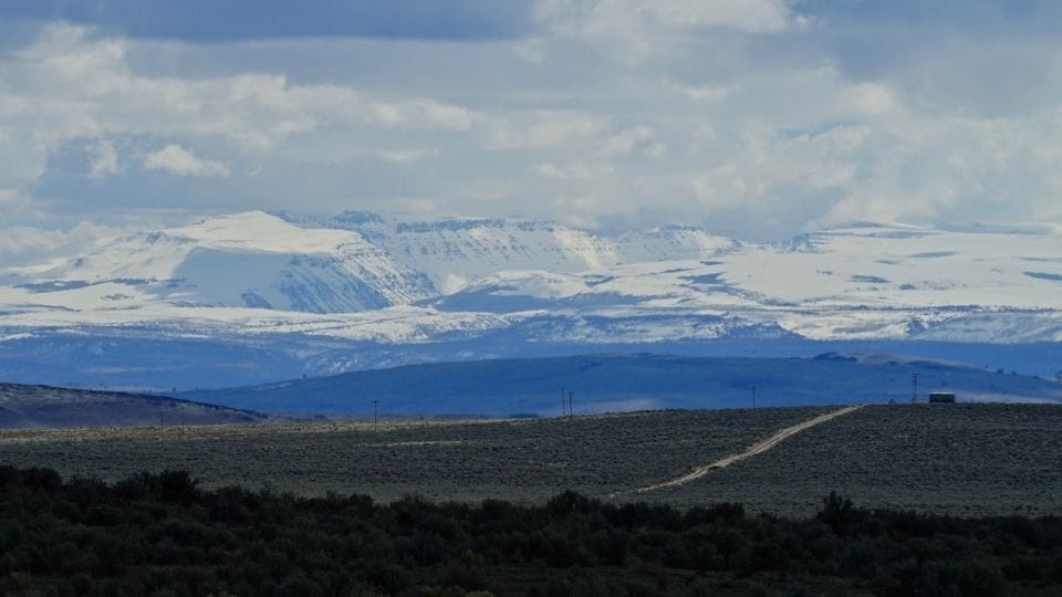 Impacts of herbivory on perennial grass species of the Northern Great Basin