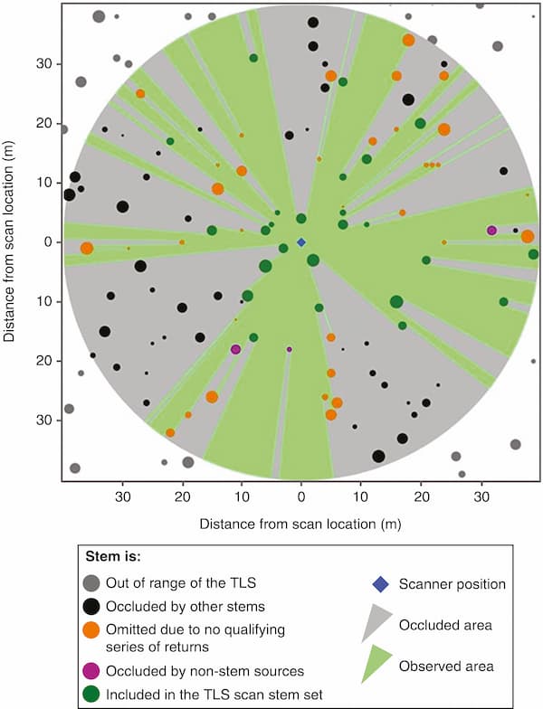 Sampling forests with terrestrial laser scanning