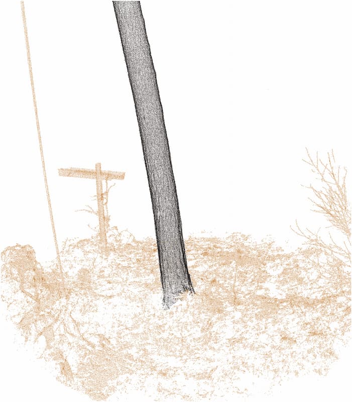 Forest above-ground volume assessments with terrestrial laser scanning: a ground-truth validation experiment in temperate, managed forests