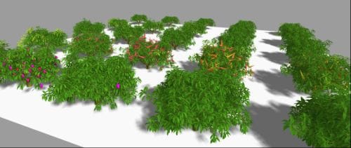 3D rendering of mango trees