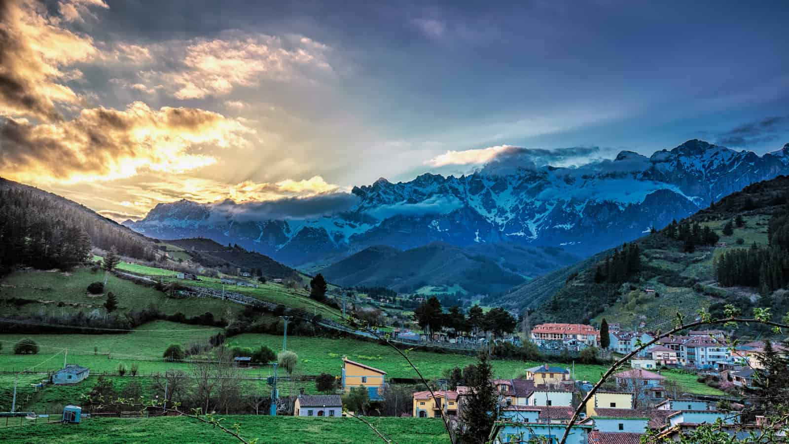 When landscapes are abandoned, do butterflies flee?