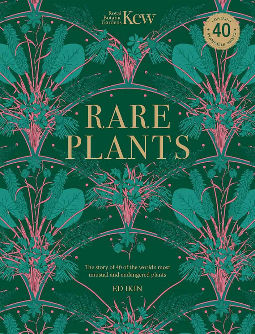 Do we need another picture book about plants?