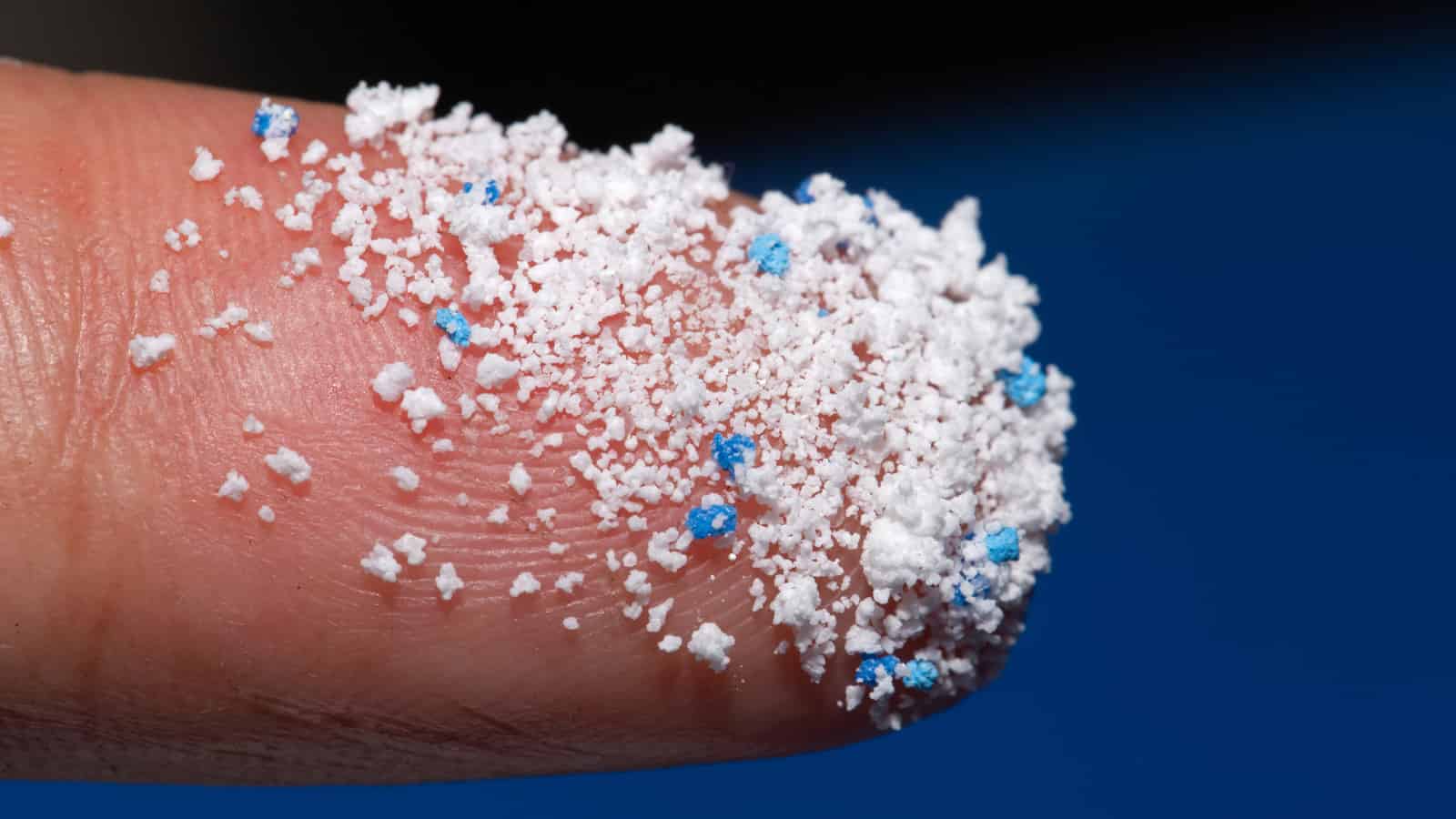 ¿Puede Botany ayudar a eliminar los microplásticos del medio ambiente?
