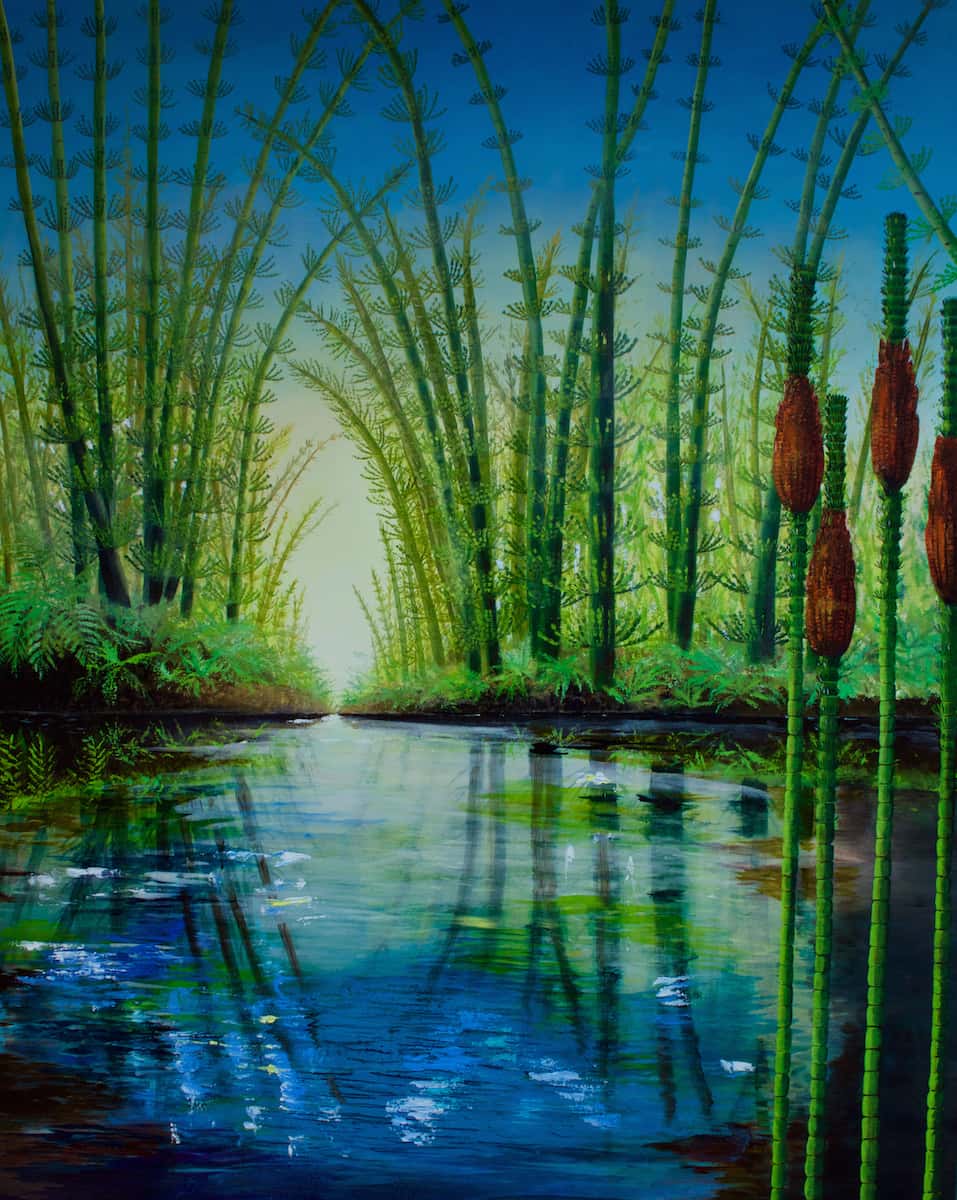 The reads closest to the view stand upright. Ahead a river runs to the horizon. On it are the blurred reflections of giant horsetails that arch from one bank across over the other.