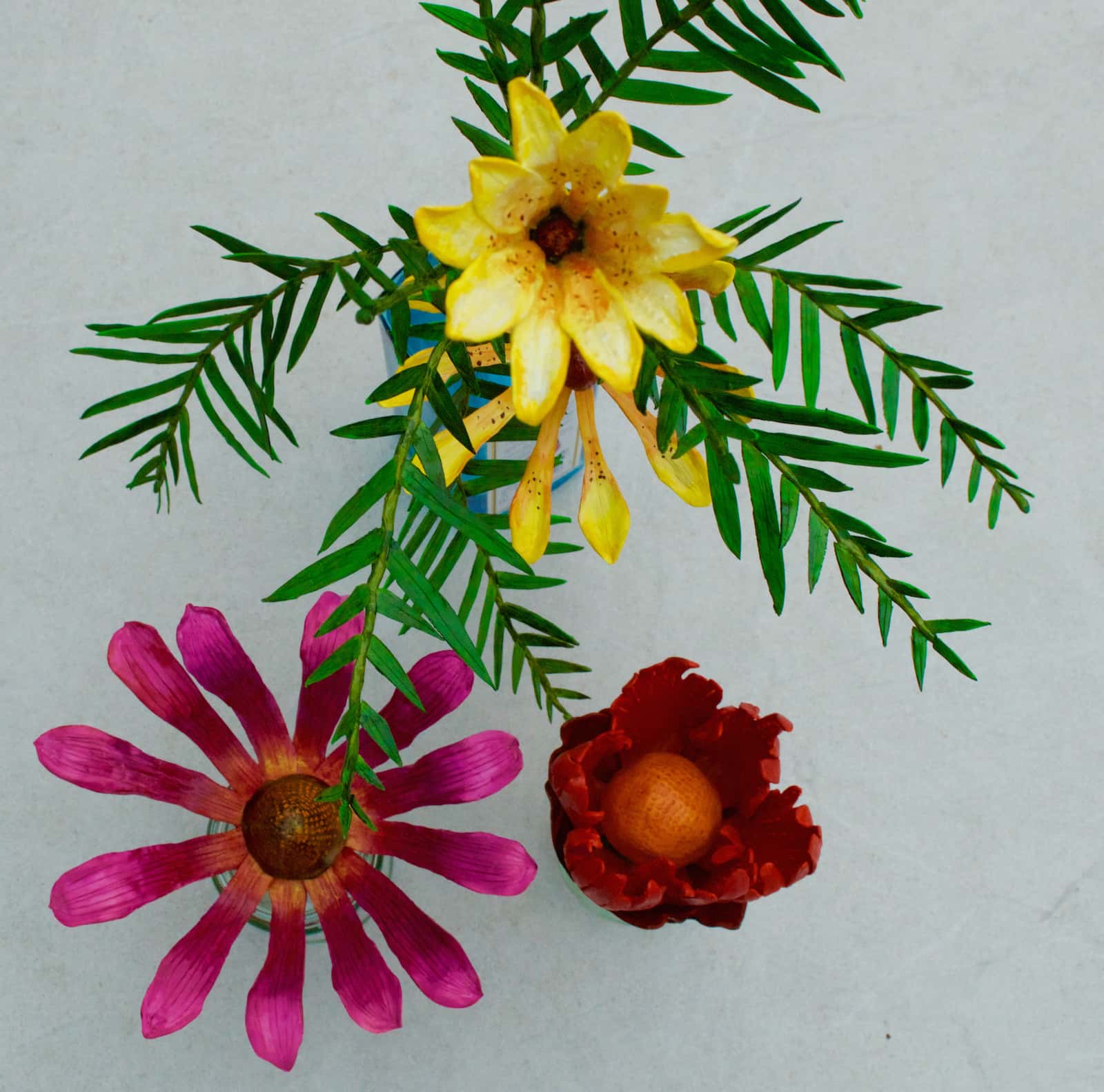 An overhead view of what would be called flowers, if Bennettitales were angiosperms. The top flower is a light yellow, with a magenta flower to the bottom left and a deep red or orange flower to the bottom right.