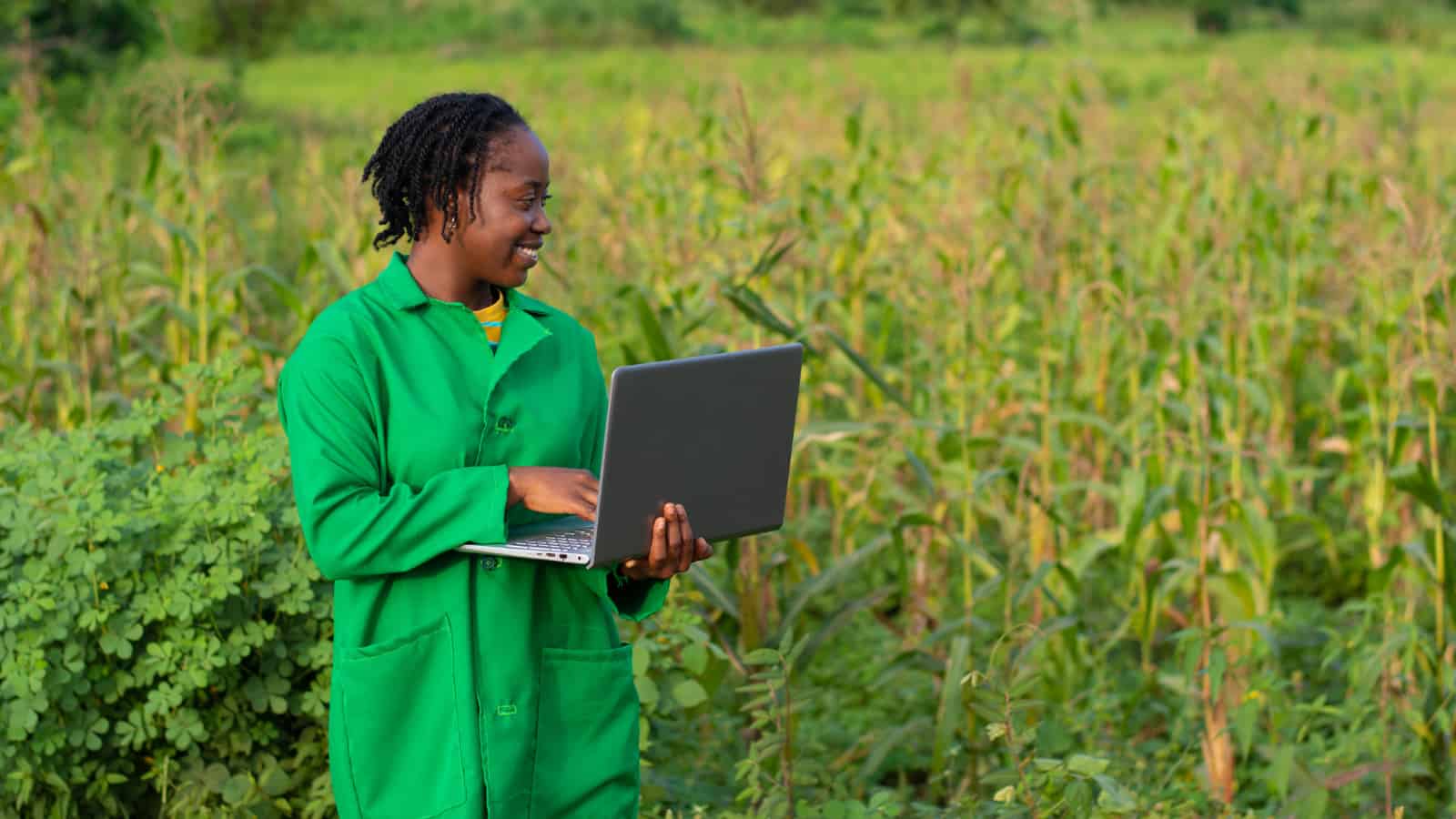 We’re looking for new editors