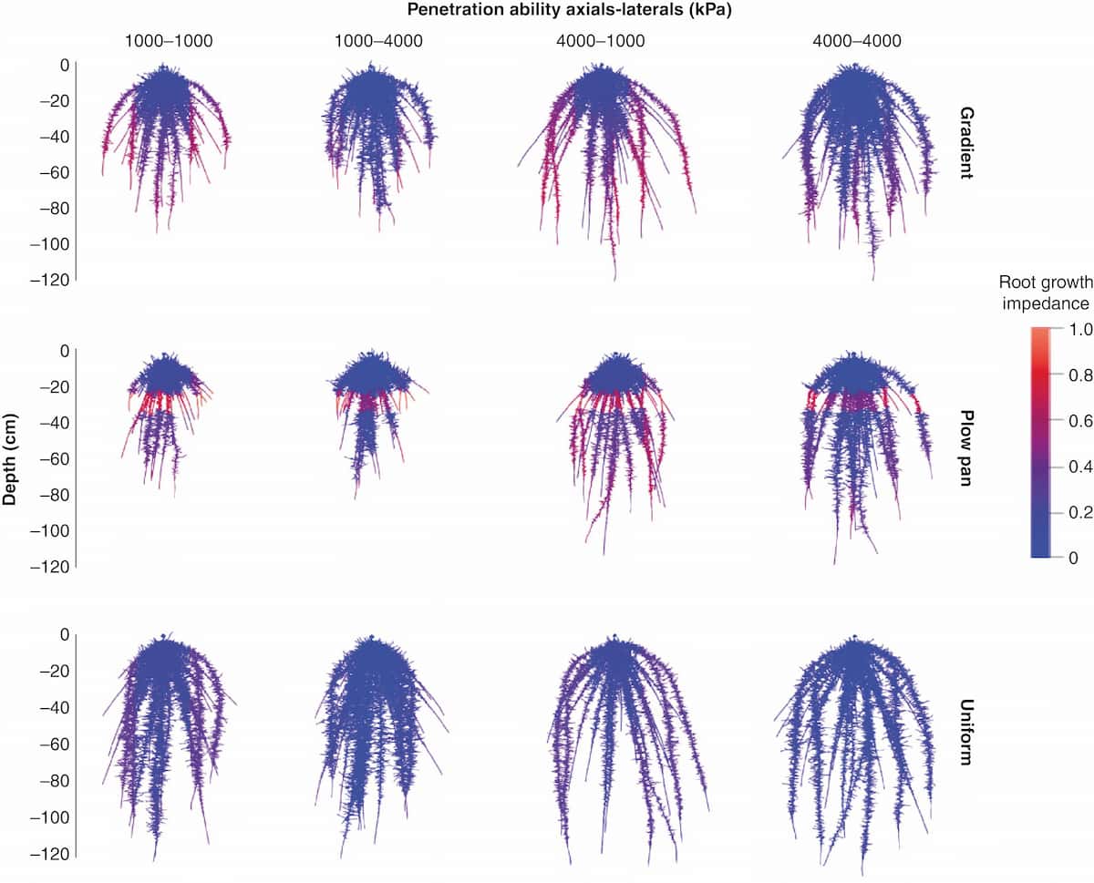 Many simulated root systems, with their roots hanging down like the tendrils of purple jellyfish.