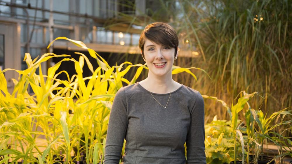 Dr. Amy Marshall-Colón against some golden plants.