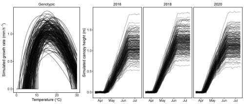 Simulated growth rates First panel: Temperature measurements from 0 to 30 degrees Celsius on the x-axis and simulated stem elongation rate on the y-axis. Curves simulated for 200 genotypes using the Wang-Engel dose-response function show minimum, optimal and maximum temperatures.
Second, third and fourth panel: Growth season on the x-axis and simulated canopy height on the y-axis. Canopy height for 200 genotypes show characteristic starts, stops, and lag phases.