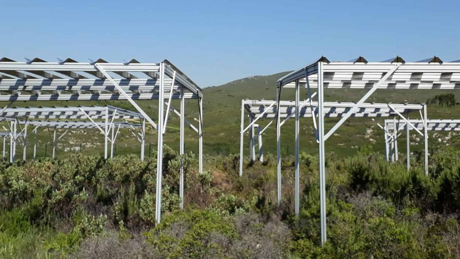 Guttering held up above plots containing various species. One way up the guttering catches and streams away rainfall, the other way up, the rain runs over it and drops off.
