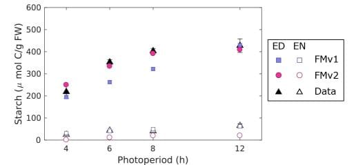 A graph with photoperiod on the X axis and starch on the Y axis. End of day starch levels are much higher than end of night. For end of day starch values, simulated FMv2 values match measured data better than FMv1 values. For end of night start values simulated data is similar to measured data. However, FMv1 values match measured data better than FMv2 values.