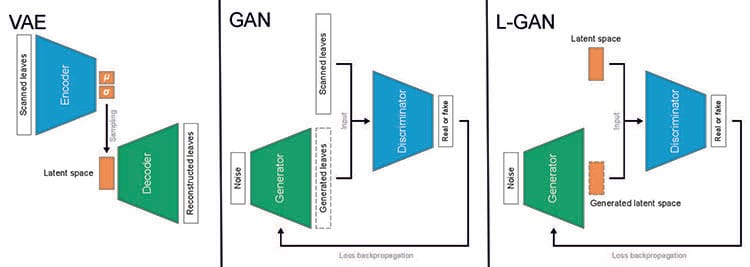 Three deep generative model architectures are shown. In the first panel, VAE, the decoder acts as a generator, which inherits the structures of the AE. In the second panel, GAN, a generator, and a discriminator generate leaves from random noise. In the third panel, L-GAN, both the generator and the discriminator of the latent space operate on the latent variables.