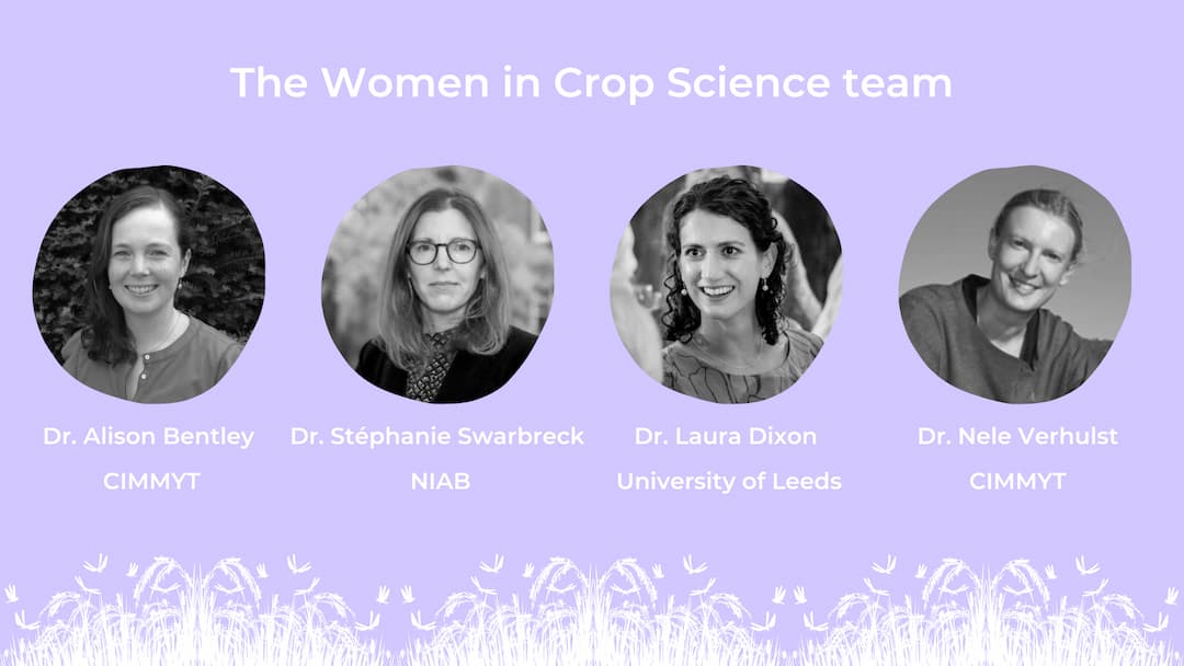 Cuatro fotos de mujeres en artístico blanco y negro.