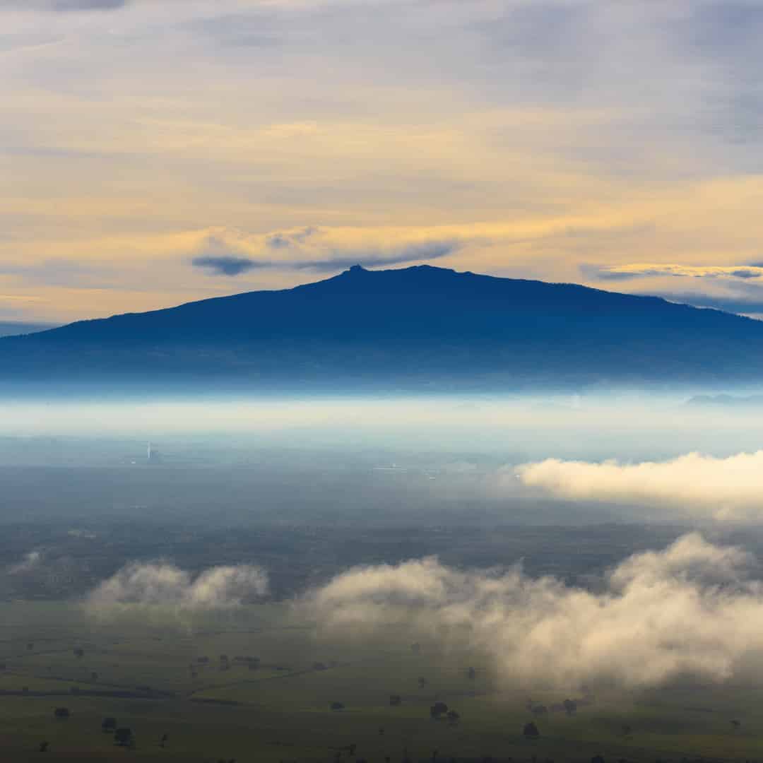 How does environment affect biodiversity? Did Humboldt get it right?