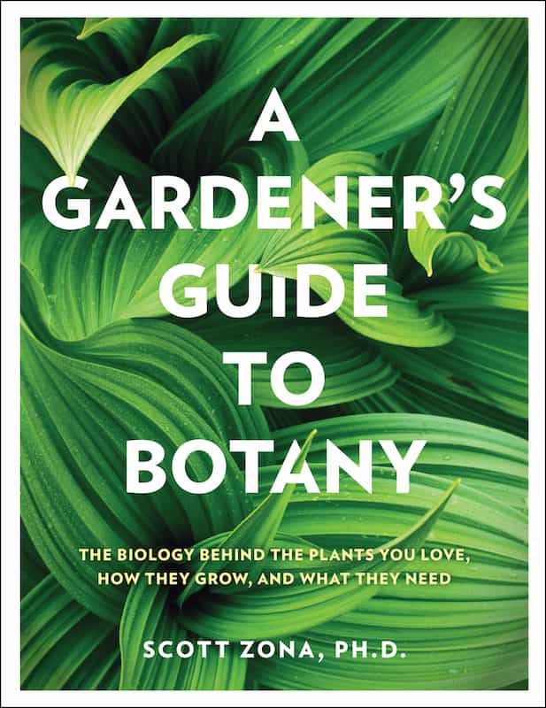 The cover of A Gardener's Guide to Botany. Swirling leaves form a background the the title in striking text.