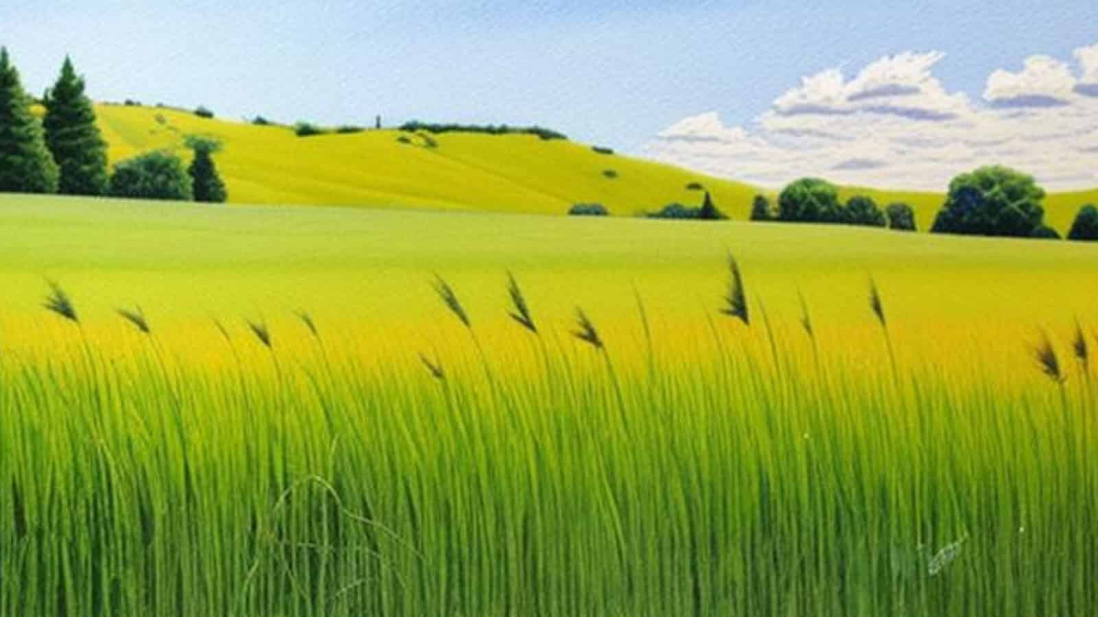 Clonal Plants Use Smart Connections to Boost Resistance Against Hungry Insects