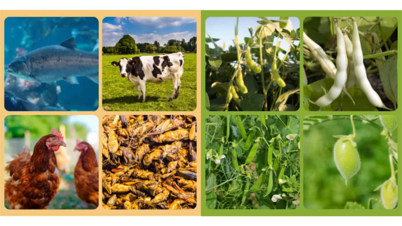 A montage of the items listed in the caption.