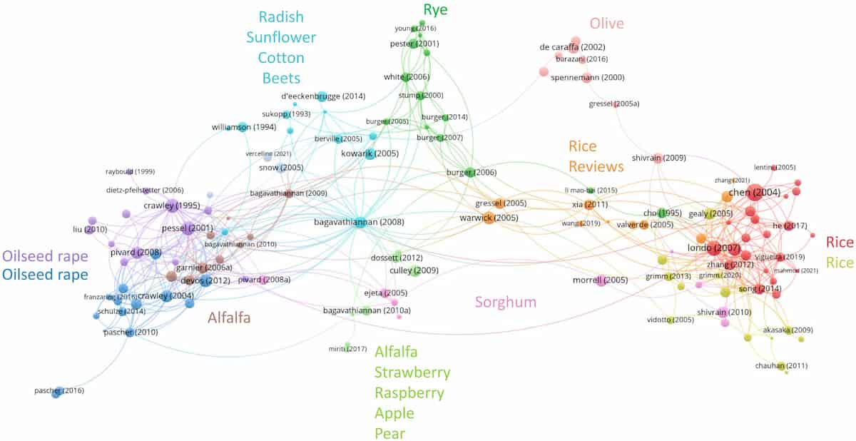 Dots of different colours in clusters. Dots are connected by many threads withing their cluster, but only a few threads run between clusters.