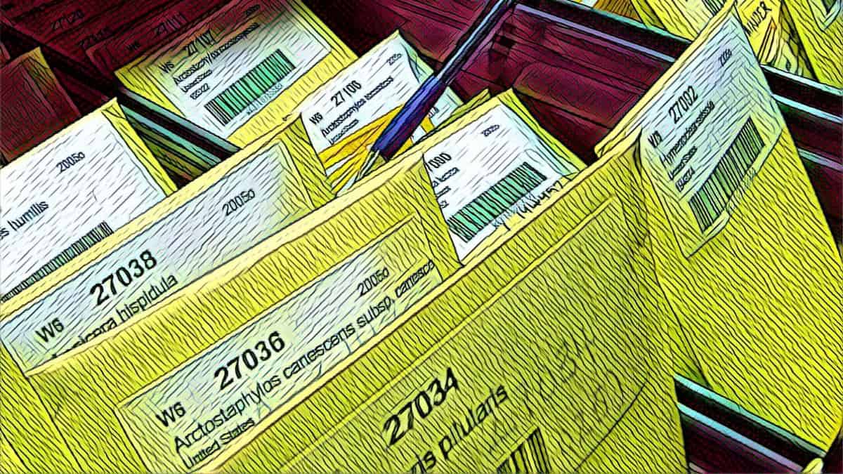 Seeds of Hope Sit Unused in Storage