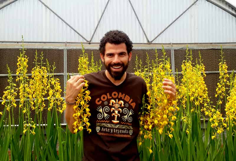 Un beau jeune homme au sourire amical. Il tient des grappes jaune vif qui tombent de ses mains comme une pluie de gouttes d'étoiles à la crème.