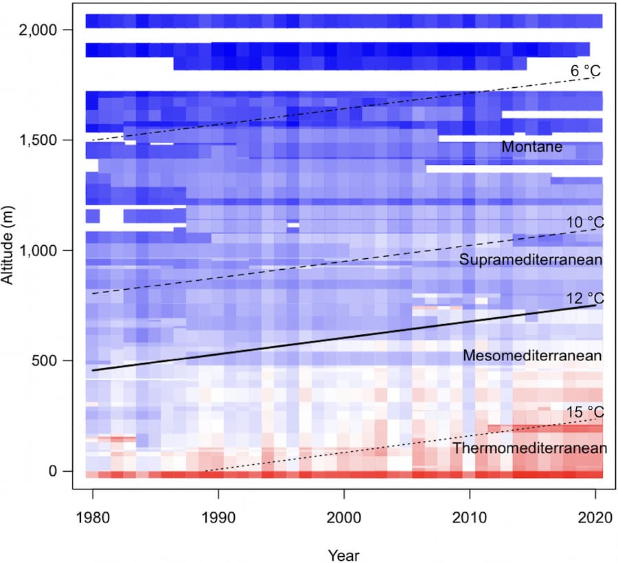 A chart of temperatures at various altitudes. Blue, for cold reaches a lot further down in the left side for 1980 of the chart than the right for 2020.