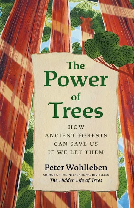 The cover of The Power of Trees, looking up the trunks of some stylised trees.