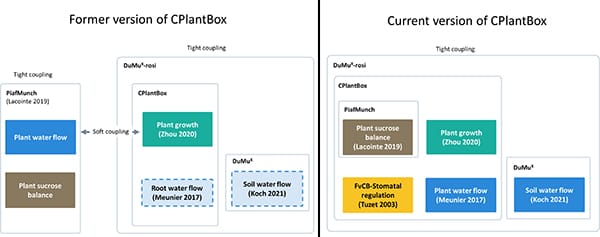On the left is a diagram of the modules of the former version of CPlantBox showing a soft coupling between PiafMunch and CPlantBox. On the right is a diagram of the modules of the updated CPlantBox showing a tight coupling between PiafMunch and CPlantBox. 