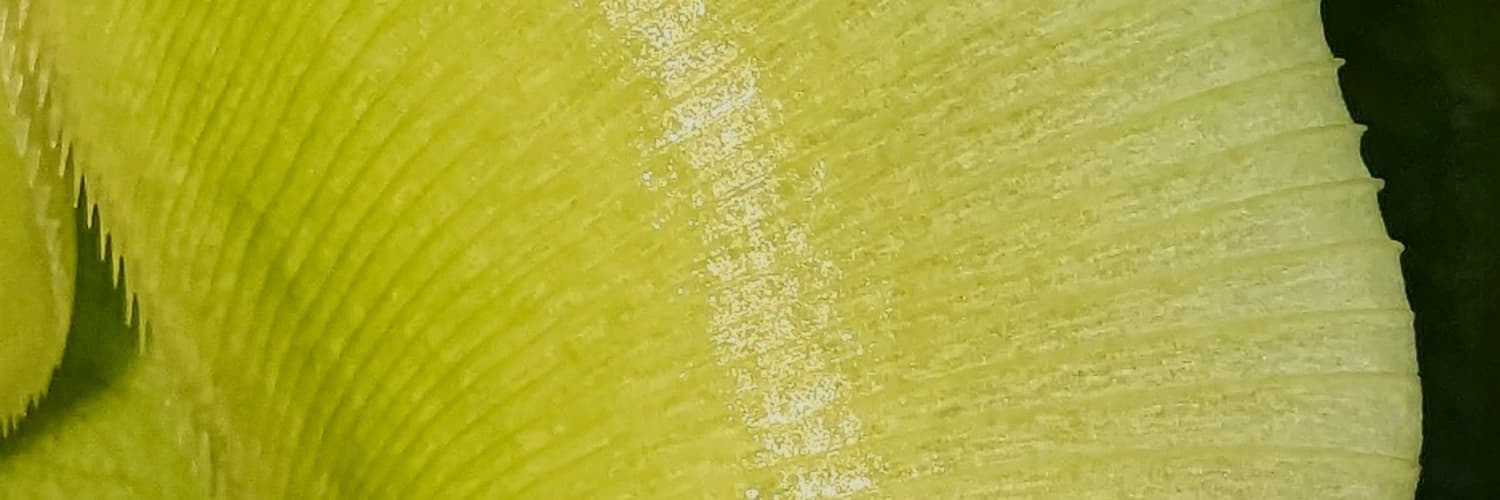 Les plantes imaginaires révèlent la physique des vrais tueurs