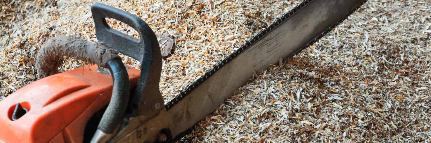 Plastic pollution: Plants fight back!