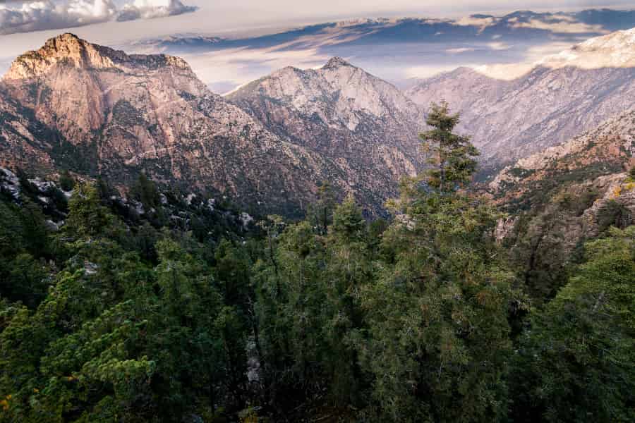 Majestic peaks rise above verdant green pines in Baja Mexico.