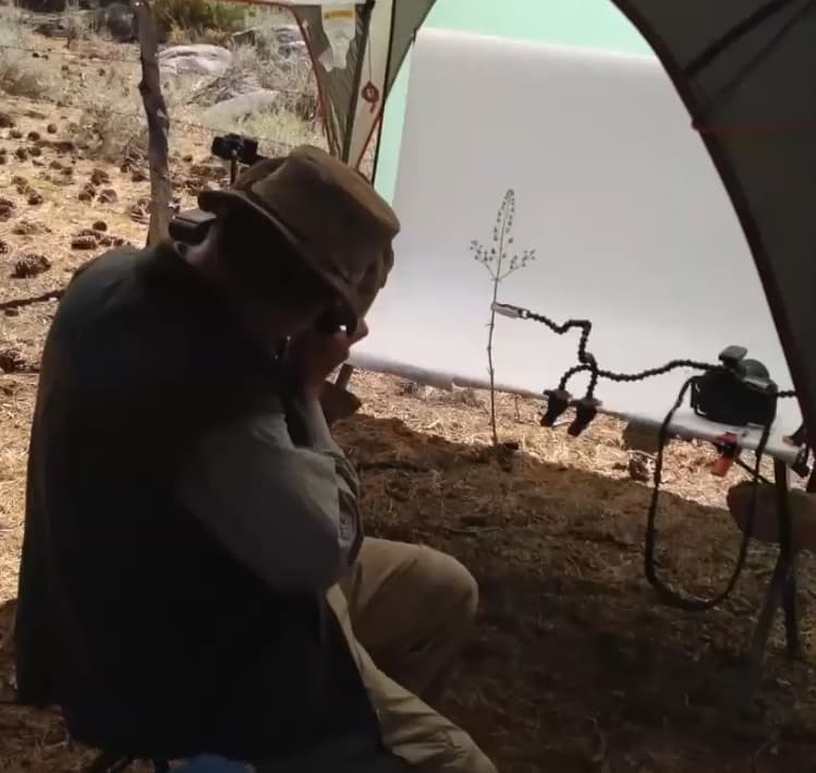A man crouches to photograph a plant in what looks like a tent with a white screen on the interior.