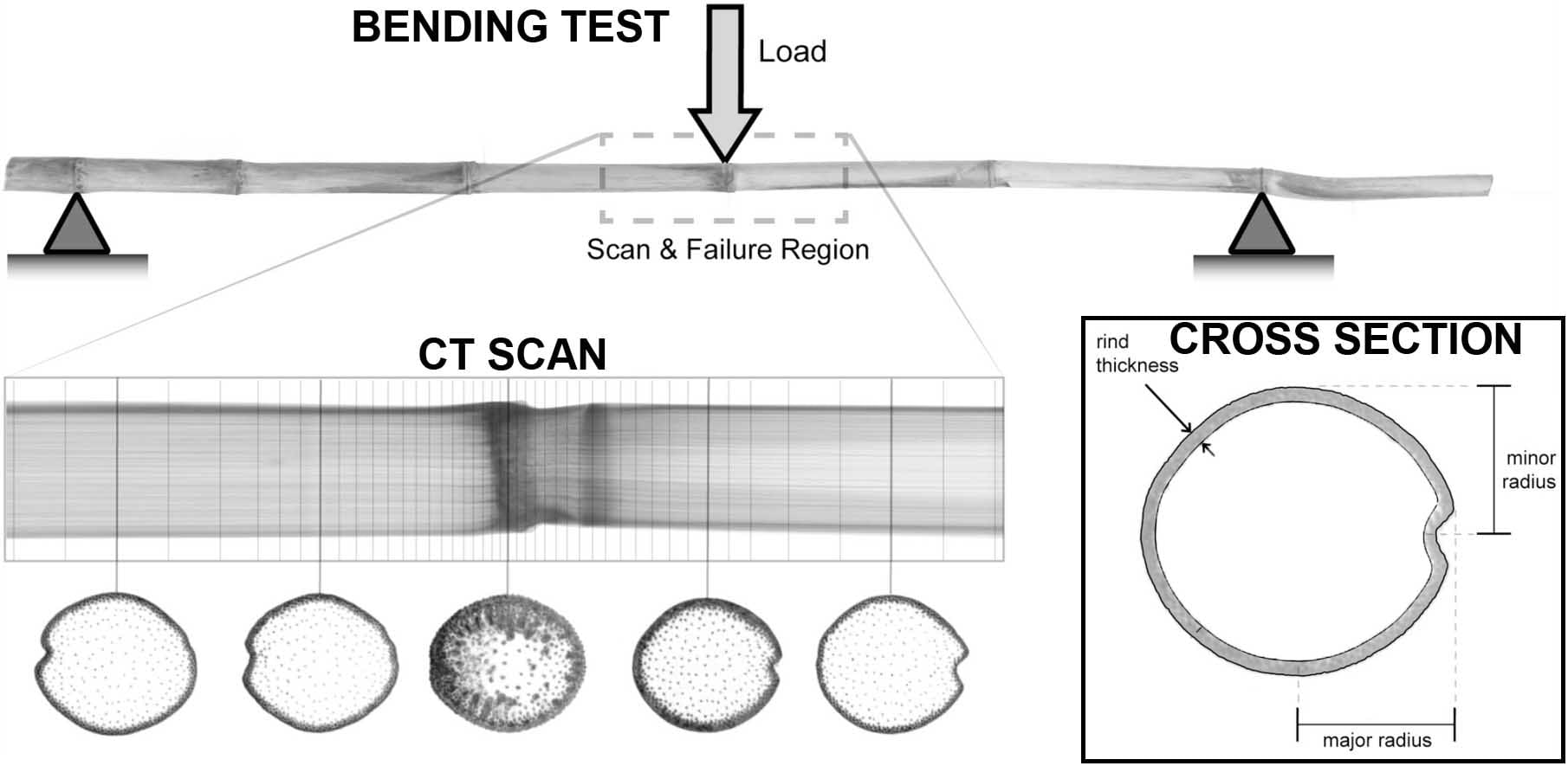 Illustration générale montrant les relations entre les expériences physiques, les données de tomodensitométrie et les données de coupe transversale discutées dans cette étude.