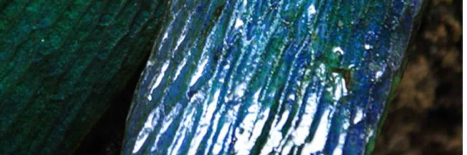 Researchers shine a light on iridescent leaves