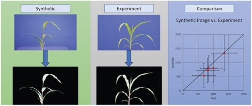 A figure with three panels. On the right is a 3D image of a synthetic plant. In the center is a similar image of a real-world image of a plant. On the right is a comparison of leaf lengths between the synthetic images and the experimental data. The figure shows that the data follows the same trends, but that the synthetic data values are a bit lower.