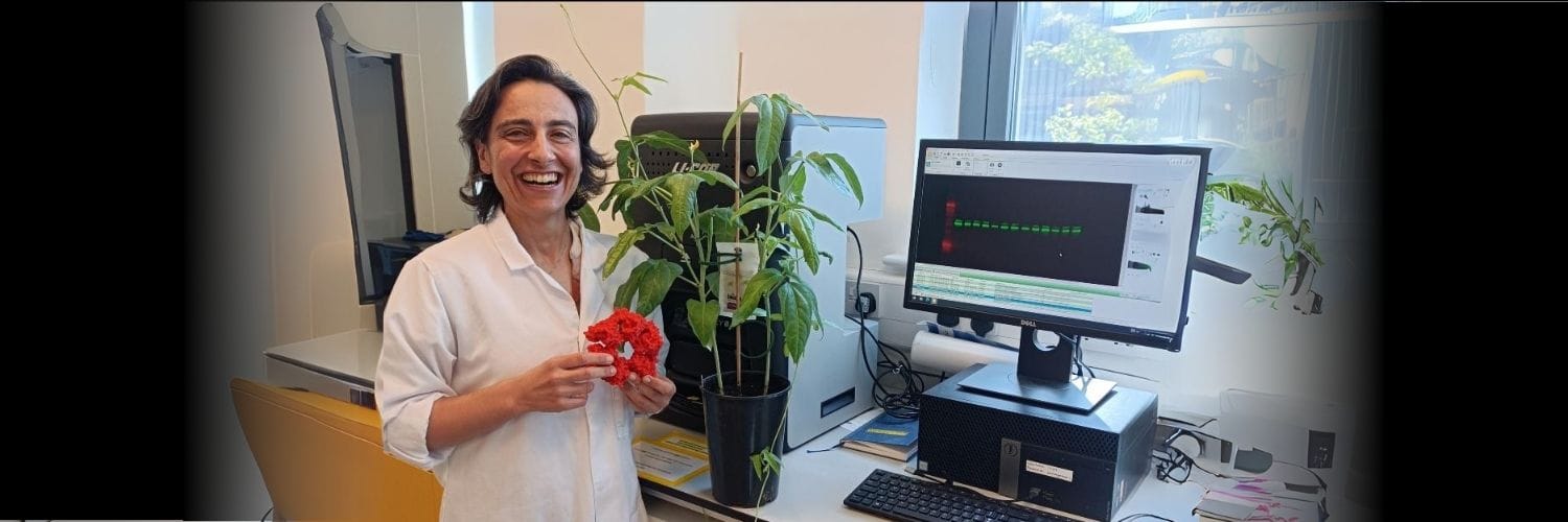 Researchers adopt approach for more ethical plant research