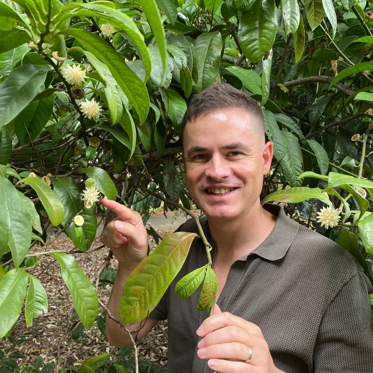 Hervé Sauquet: Never Looking at Flowers the Same Way