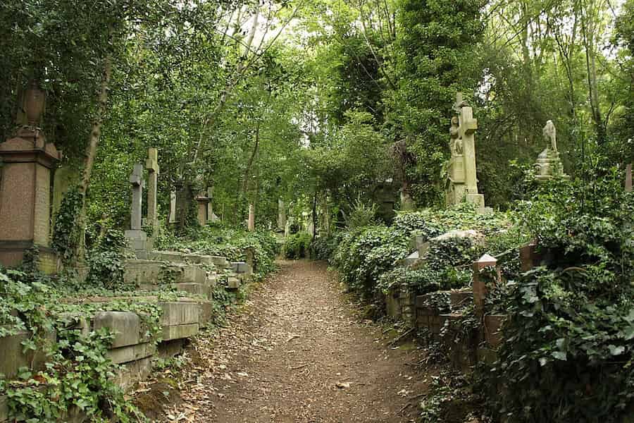 Un camino que atraviesa el cementerio de Highgate East. Las piedras están cubiertas de maleza y no se ve a nadie más.
