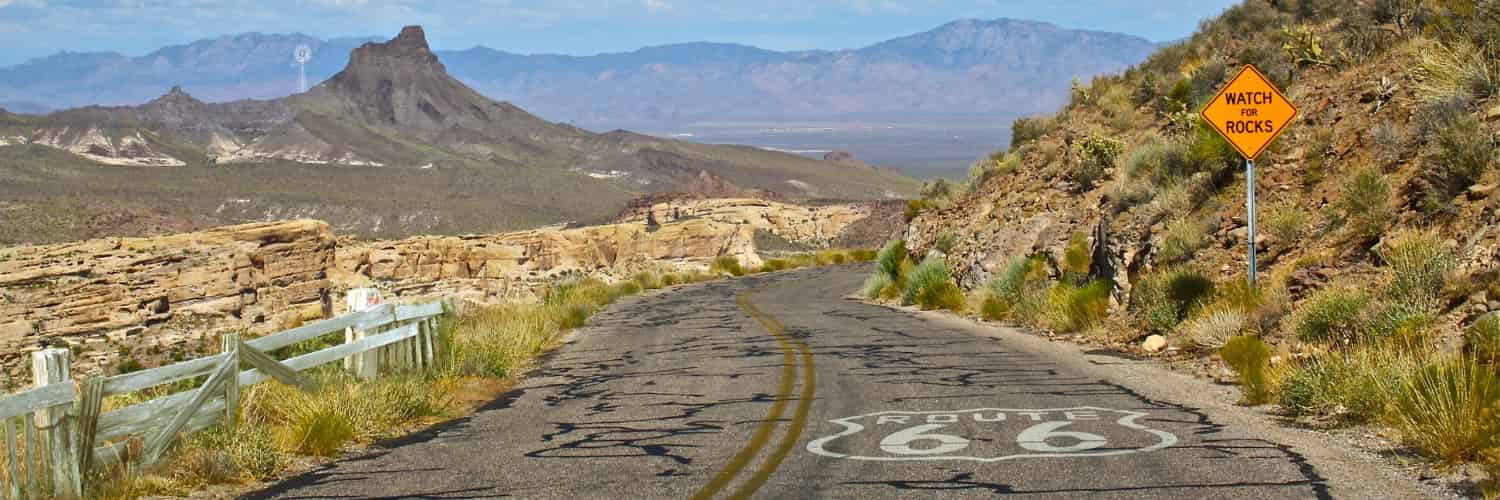 Les routes sont idéales pour relier les humains, mais pas pour les plantes