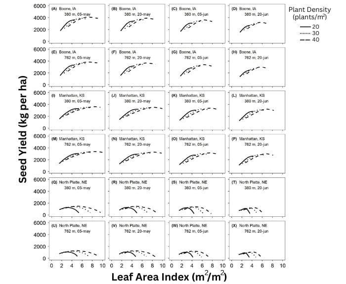 Four columns of graphs in six rows illustrate that the relationship between leaf area index and yield vary with location, planting density, and planting date.
