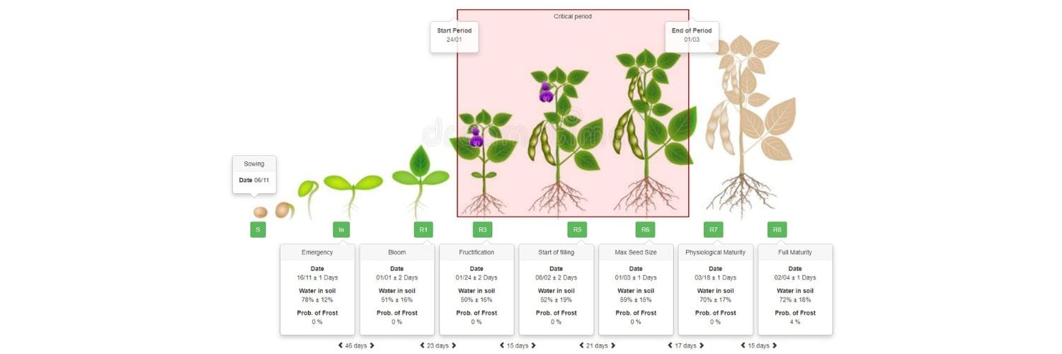 Optimizing Soybean Production in the Southern Cone
