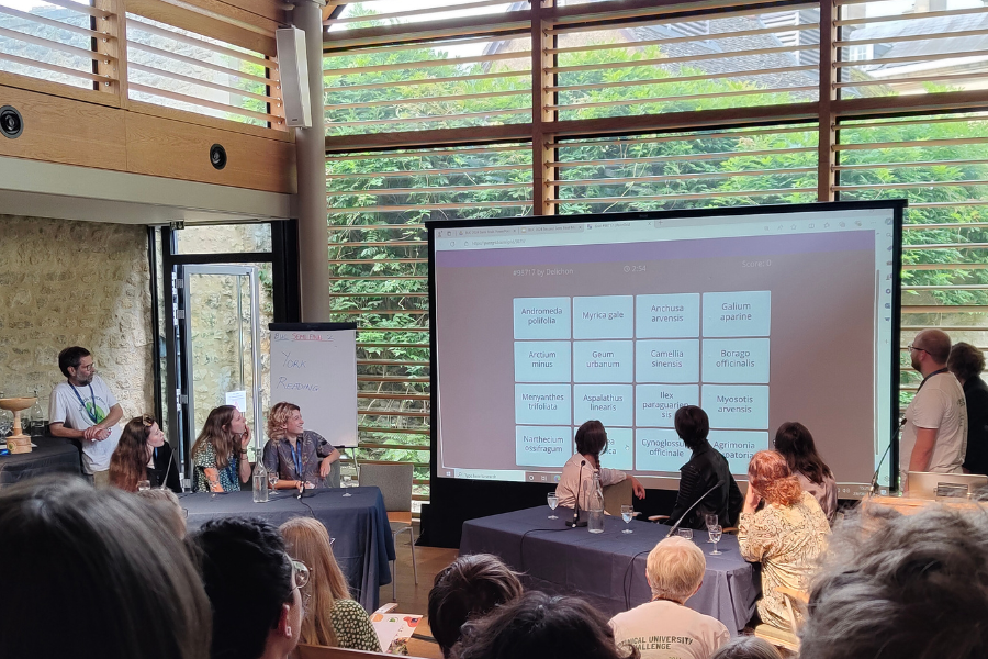 L'équipe de York s'attaque au mur d'espèces 4 x 4 et tente d'établir les connexions.