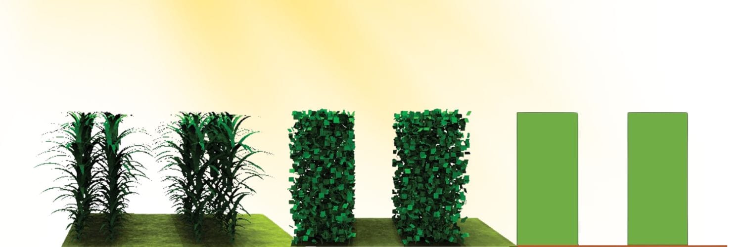 De la complejidad a la simplicidad: evaluación de modelos de interceptación de luz