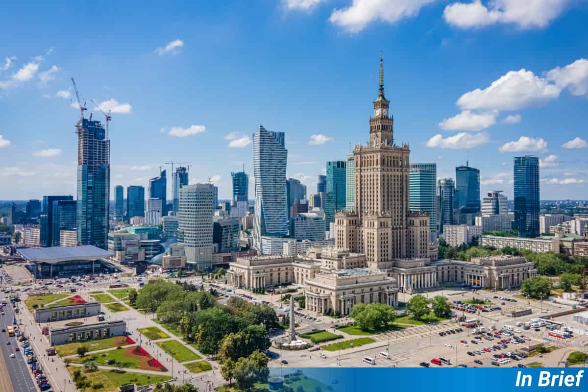 Small Urban Meadows Give Hope for City Pollinators