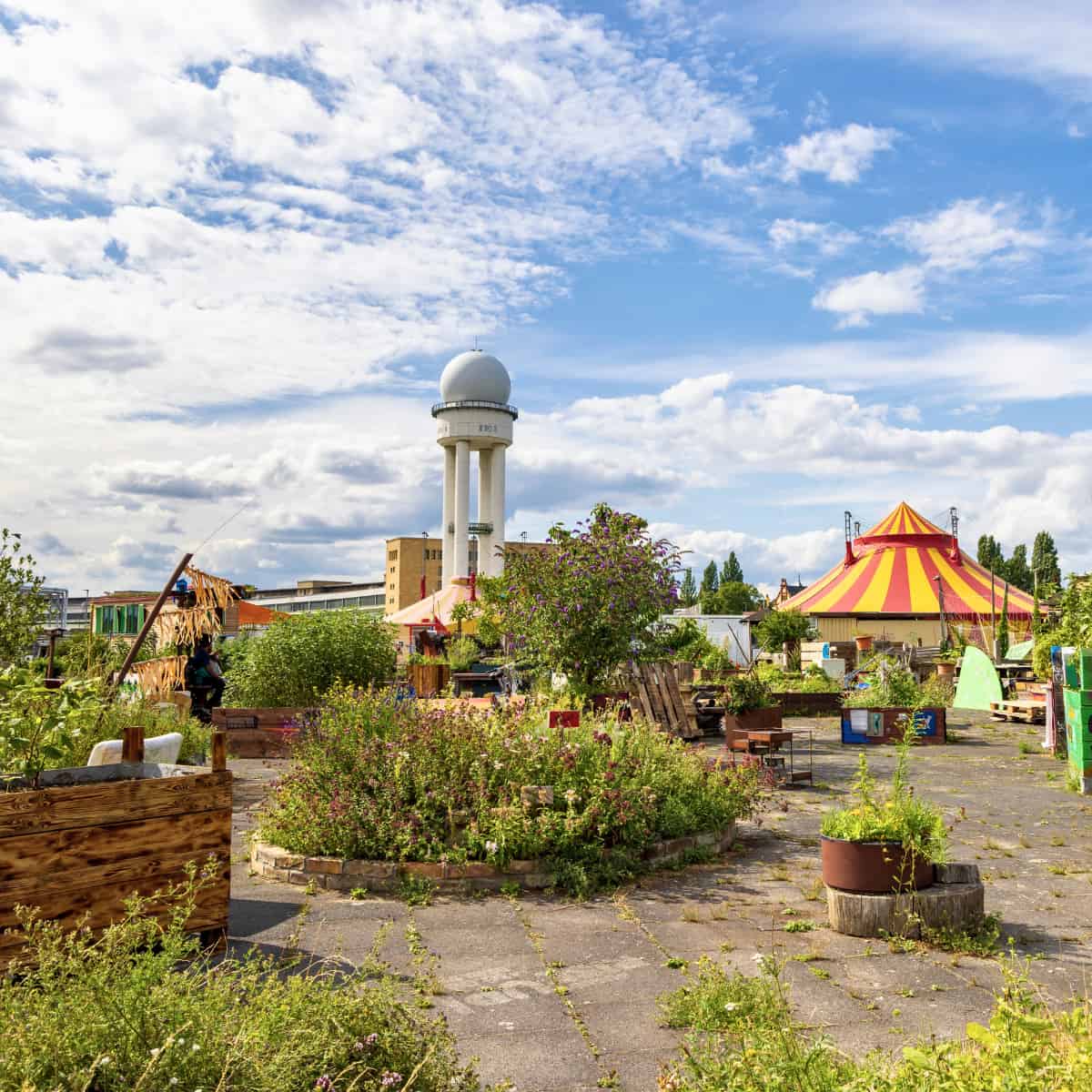 Garden Choices Shape Urban Pollinator Havens