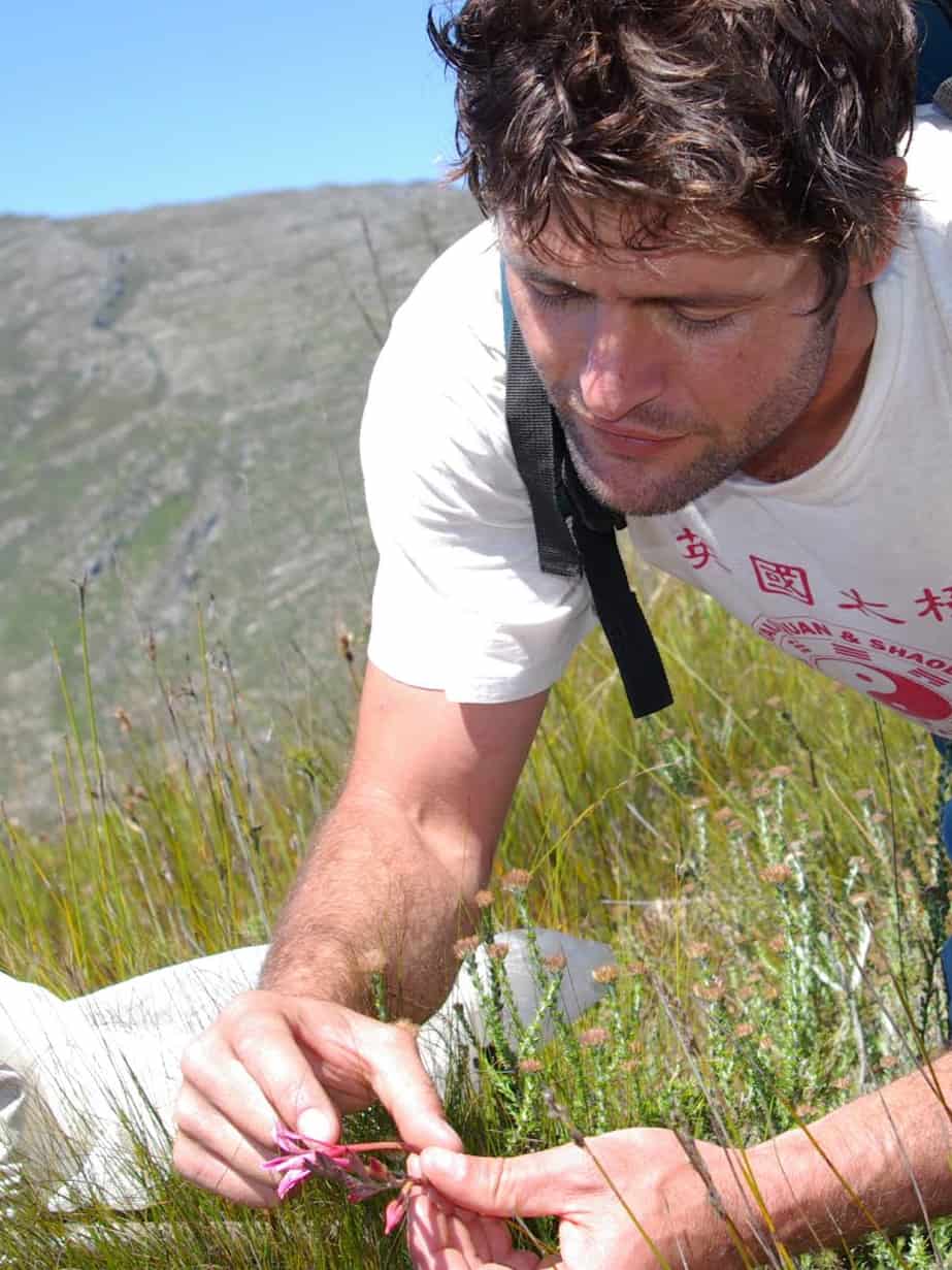 Une personne aux cheveux noirs bouclés, portant un t-shirt blanc avec des caractères asiatiques rouges et une bandoulière sur l'épaule, examine une petite fleur rose dans une zone herbeuse à flanc de colline. Elle est accroupie, concentrée sur la délicate fleur sauvage qu'elle tient entre ses doigts. L'arrière-plan montre un paysage montagneux avec de la végétation sous un ciel bleu clair. La scène capture l'observation botanique dans un cadre naturel.