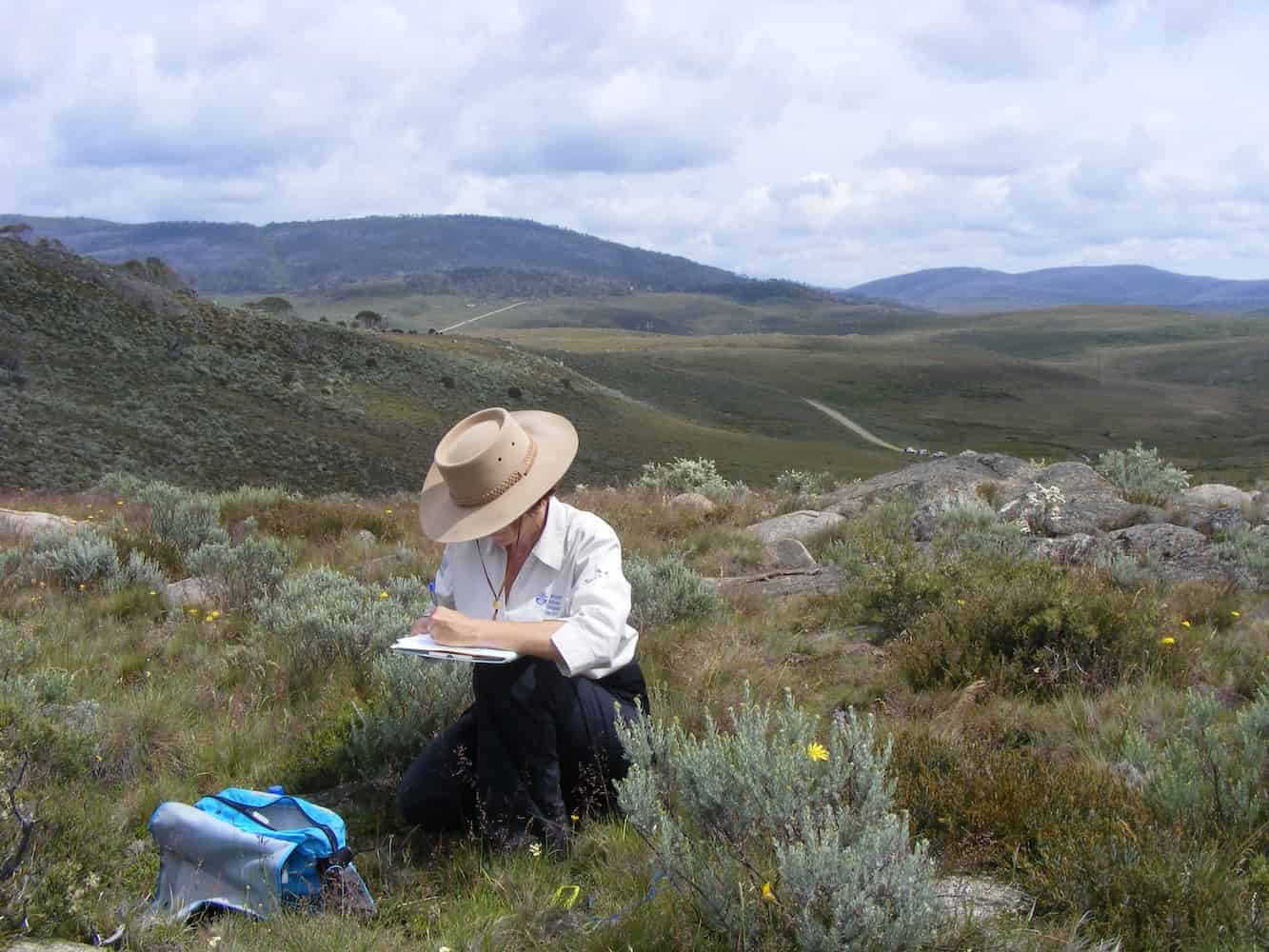 Dr Karen Sommerville wearing a white shirt and wide-brimmed beige hat is crouched in a mountainous landscape, writing in a notebook. A blue field pack rests nearby on the ground. The setting appears to be an alpine or subalpine environment with scattered sagebrush and yellow wildflowers. Rolling hills and mountains extend into the distance under a cloudy sky.