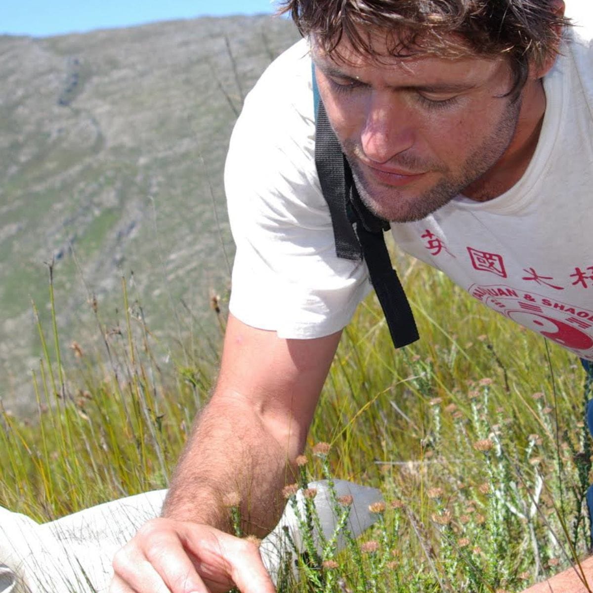 Bruce Anderson : décrypter le langage des plantes