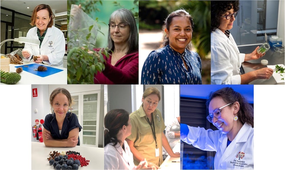 A collage of seven professional photographs showing scientists and researchers at work in various settings. The images include researchers examining plant materials in laboratory environments, wearing white lab coats and conducting detailed work. Some images show scientists in more casual settings or outdoors among plants. The photographs illustrate different aspects of scientific research, from laboratory analysis to fieldwork. Each image captures the researchers engaged in their work, with some showing them examining specimens, taking notes, or working with scientific equipment. The lighting varies across the images, from bright laboratory settings to natural outdoor lighting, creating a comprehensive view of different research environments and activities.