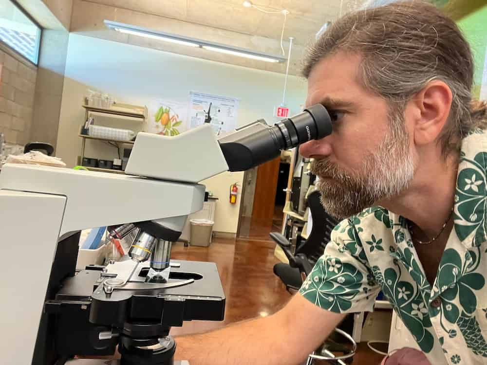 A bearded man peers into a confocal microscope.