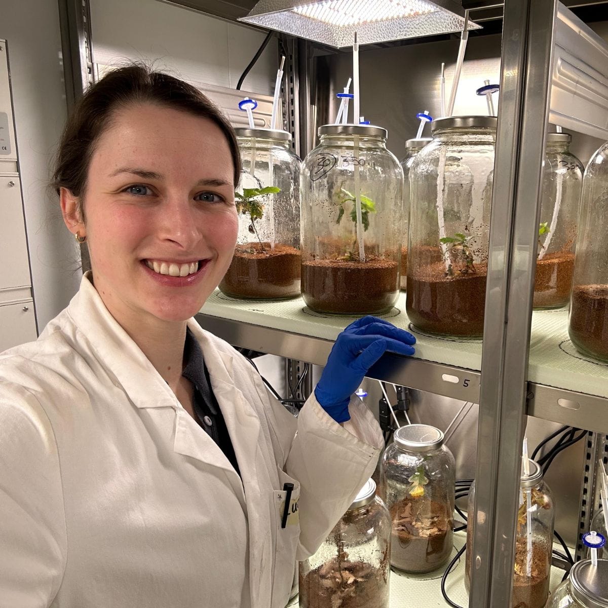 Lucy Sauereßig: Climbing Oaks for the Whole Picture